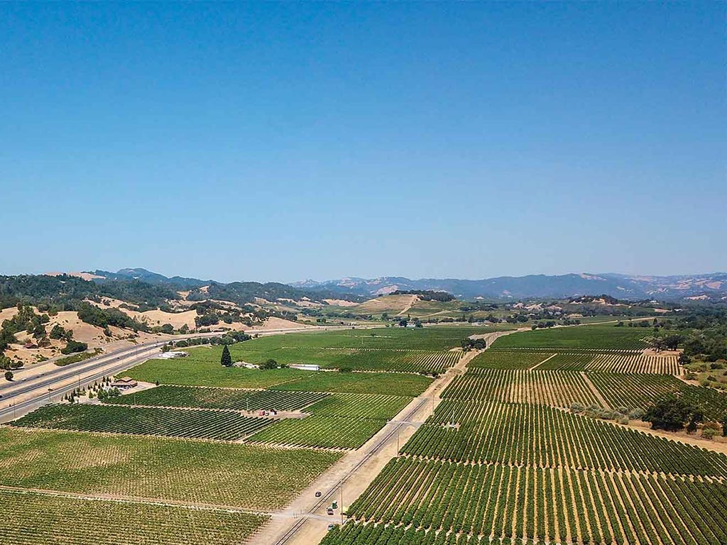 Far out view of vine yard in daylight