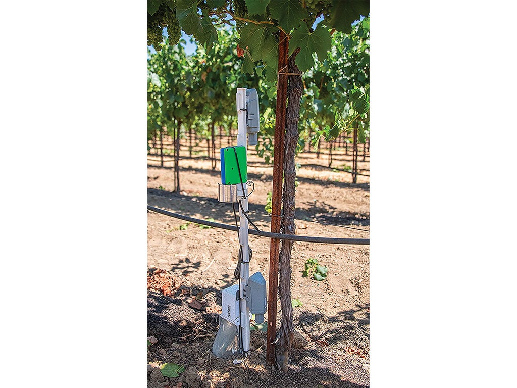 Vineyard soil sensor mounted on a vine post within grapevines