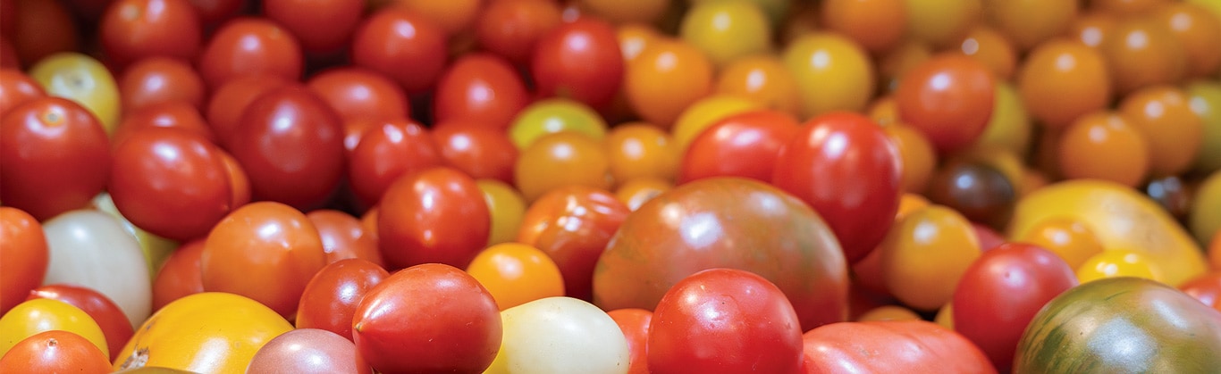 Assorted heirloom tomatoes in red, yellow, and green piled together.