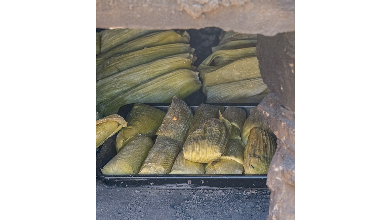 Corn wrapped in husks steams inside an outdoor oven.