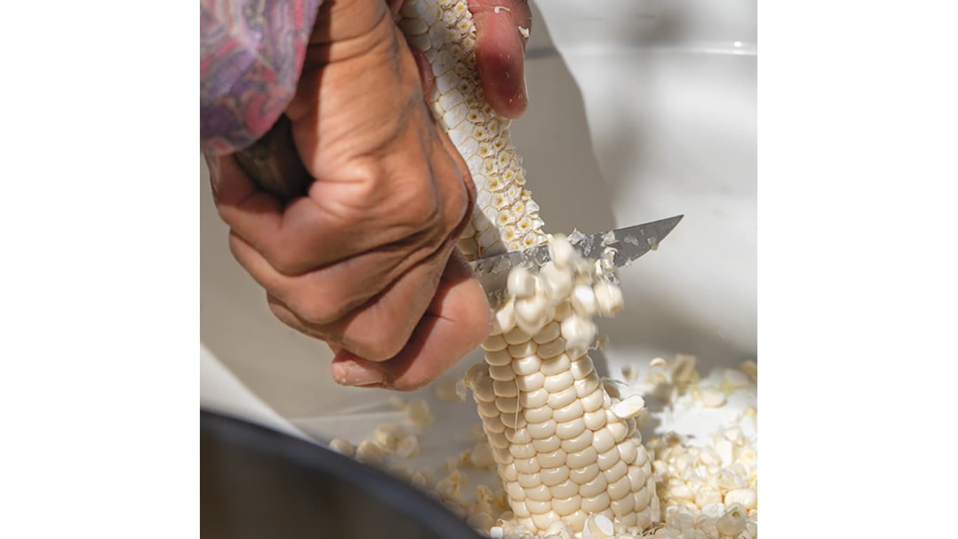 Hands cut kernels from a cob over a container.
