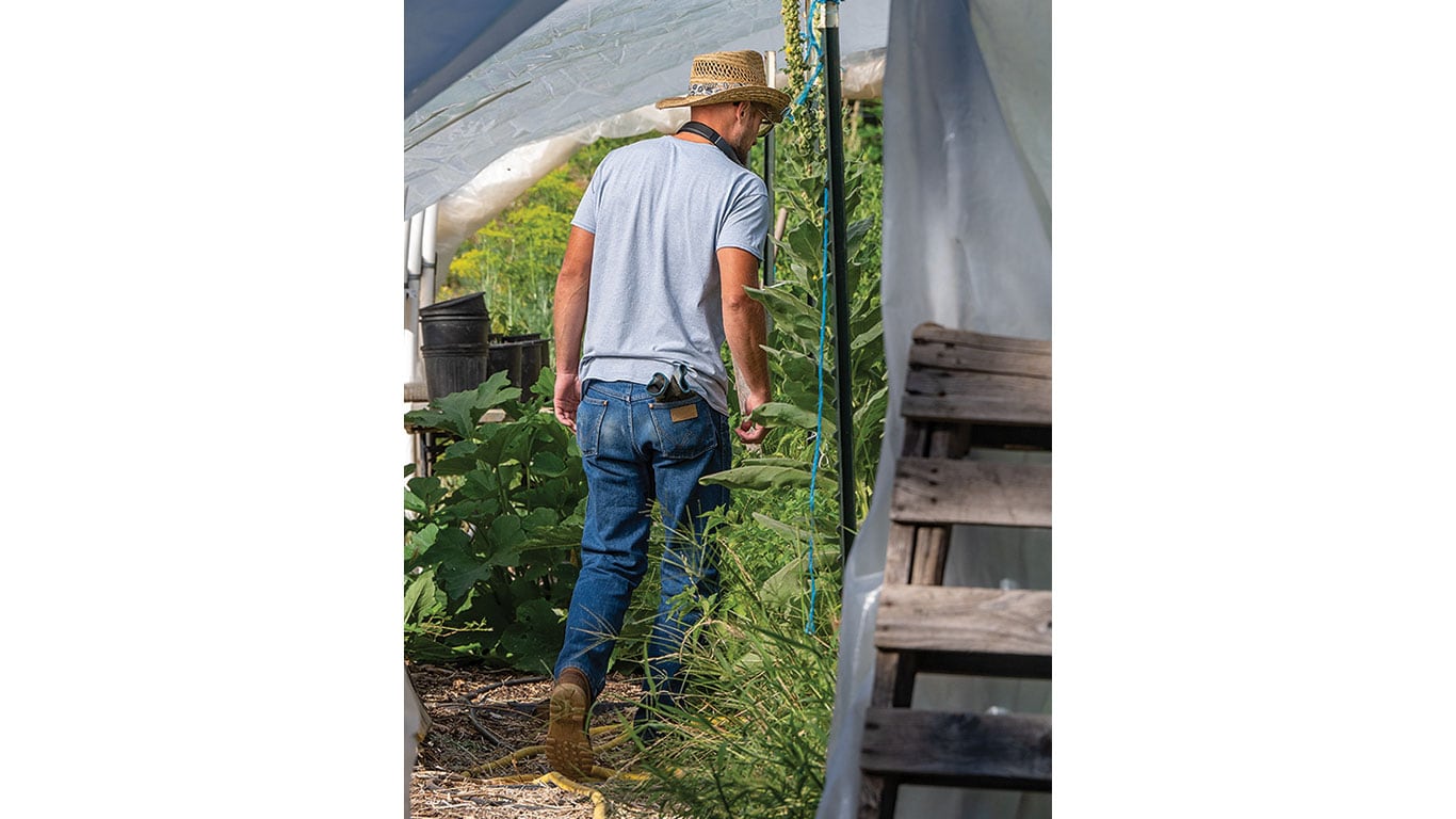 Farmer walking through a greenhouse with growing plants.