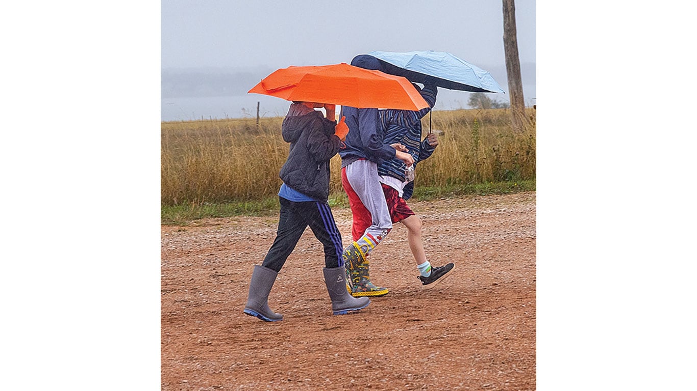 Three children walk along a dirt road holding umbrellas on a rainy day.