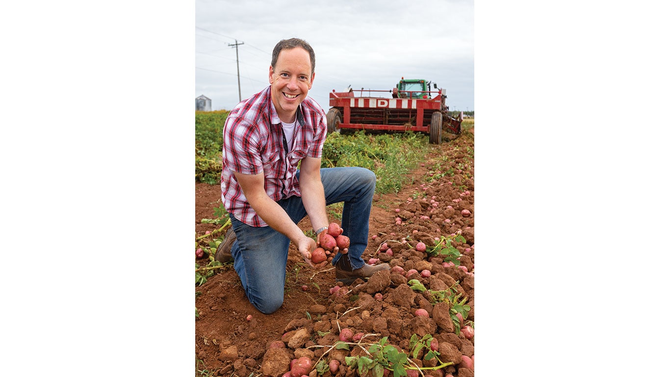 Man kneels in a field holding freshly harvested potatoes.