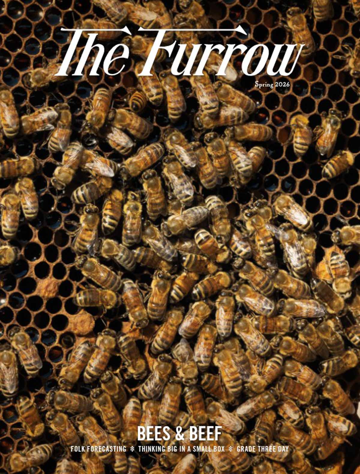 Magazine cover of honeybees clustered on honeycomb, titled 'The Furrow' with cover line 'Bees & Beef'.