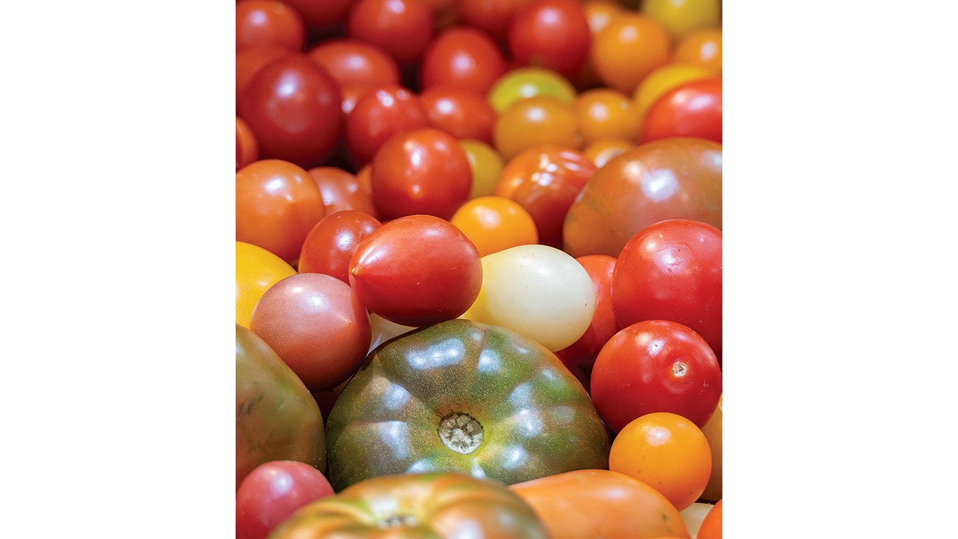 Assorted heirloom tomatoes in red, yellow, and green piled together.