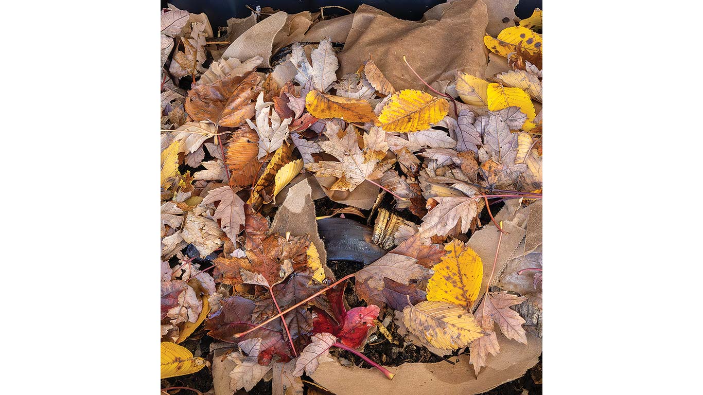 Pile of autumn leaves and paper layered for composting.