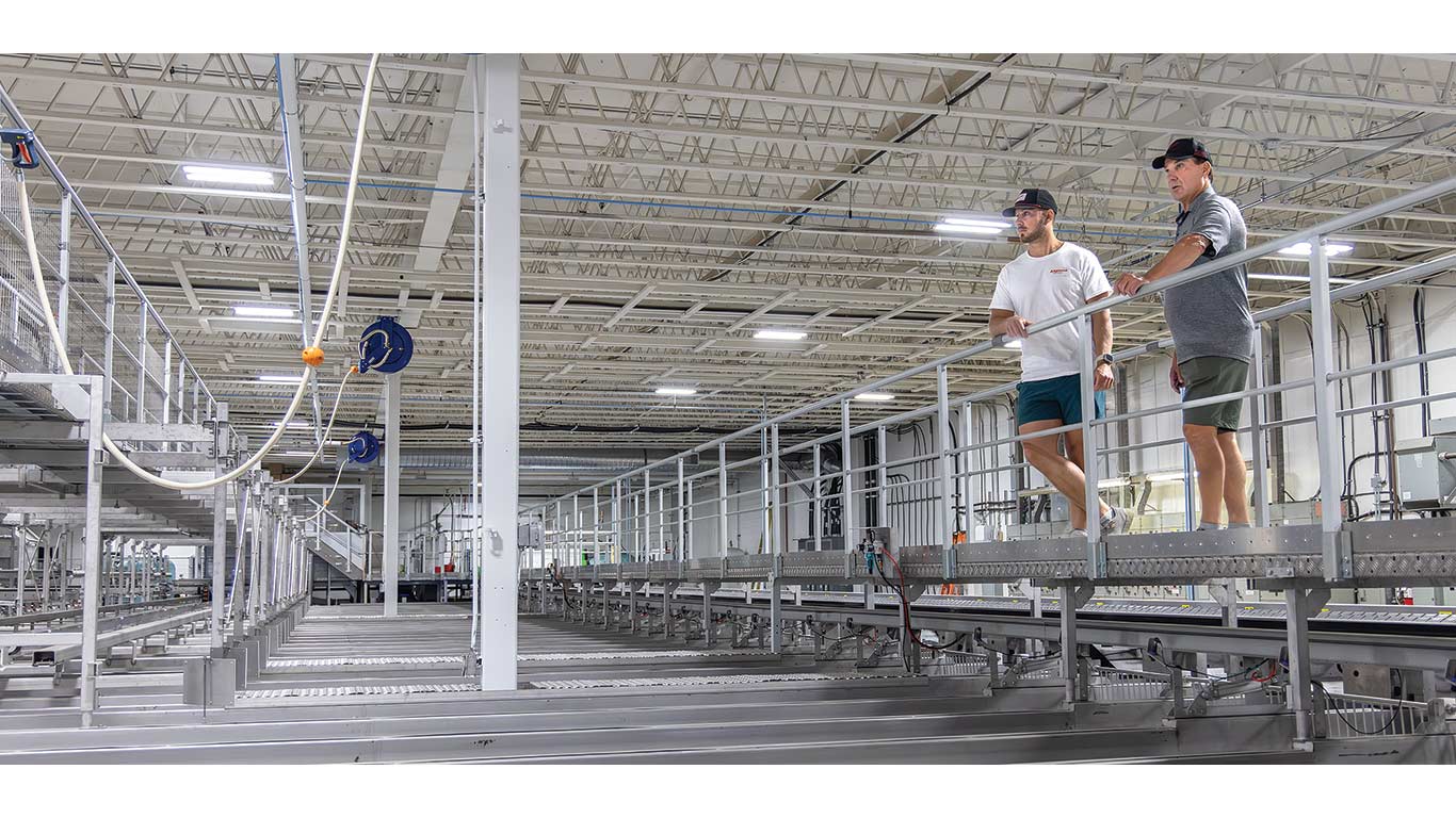 Two people walk a catwalk above conveyors in a large industrial packaging facility.