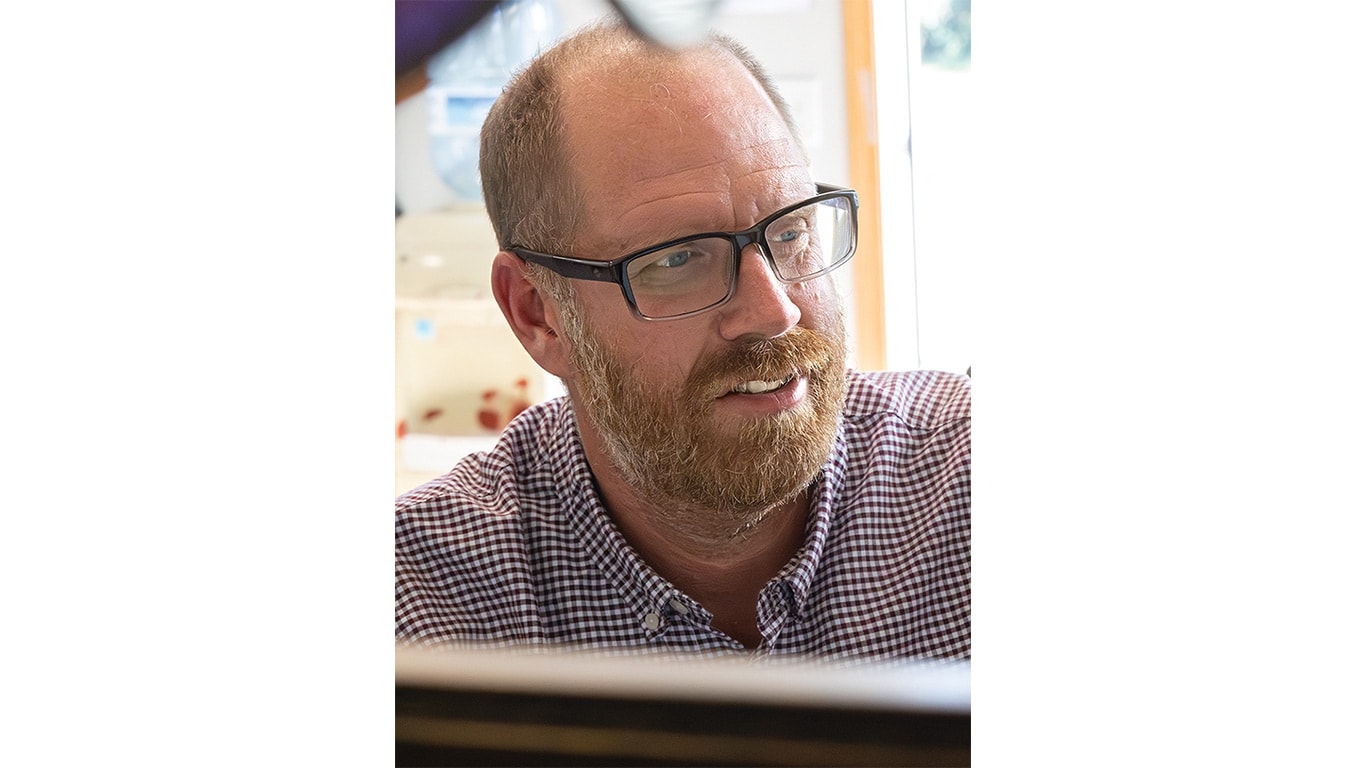 Person in a checkered shirt working indoors near a window with office items visible in the background.