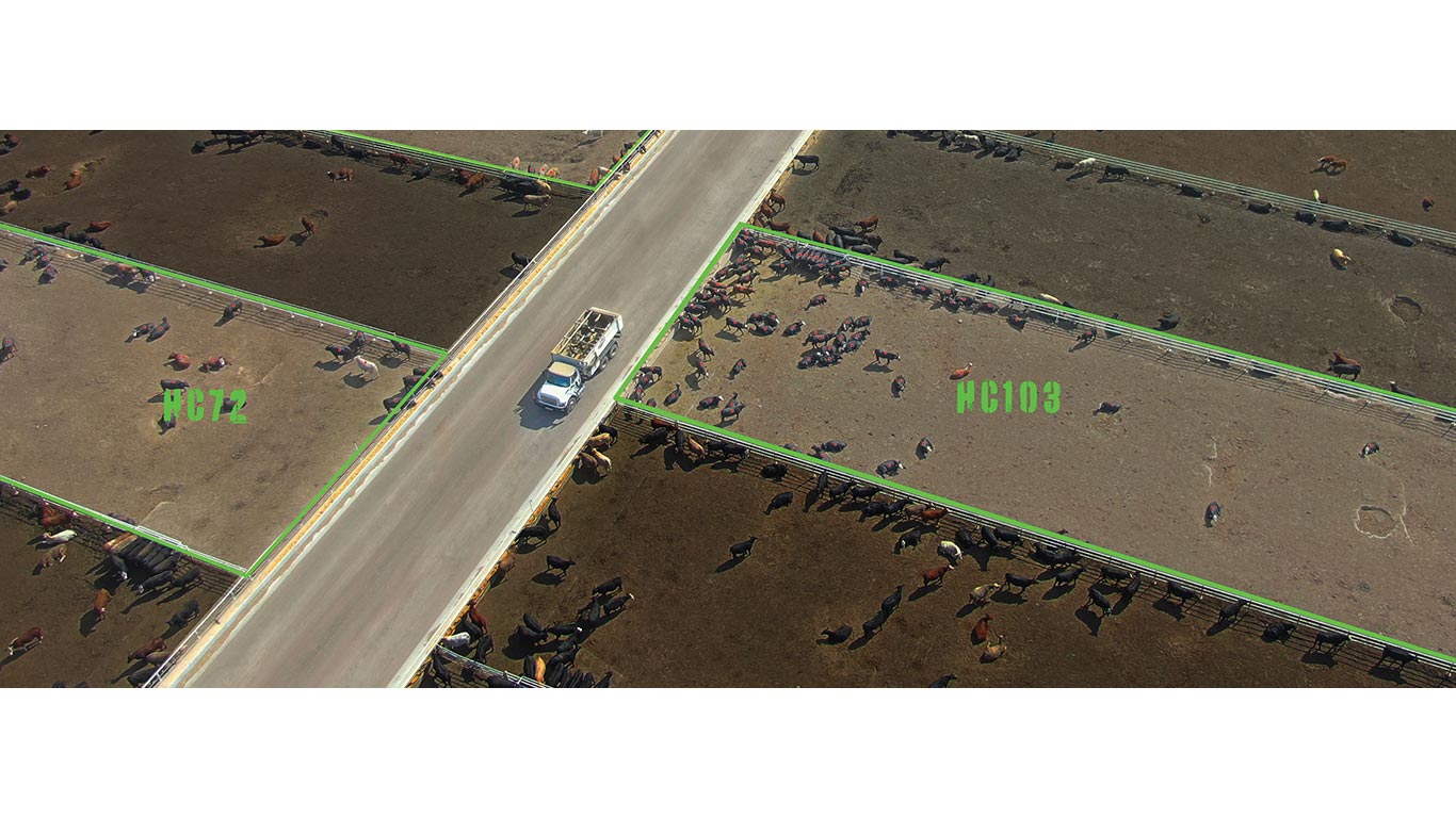 Aerial view of a truck driving between cattle pens outlined in green, with livestock gathered in each pen.