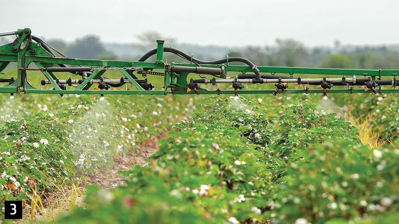 A boom sprayer applies a fine mist over rows of green crops in an open field.