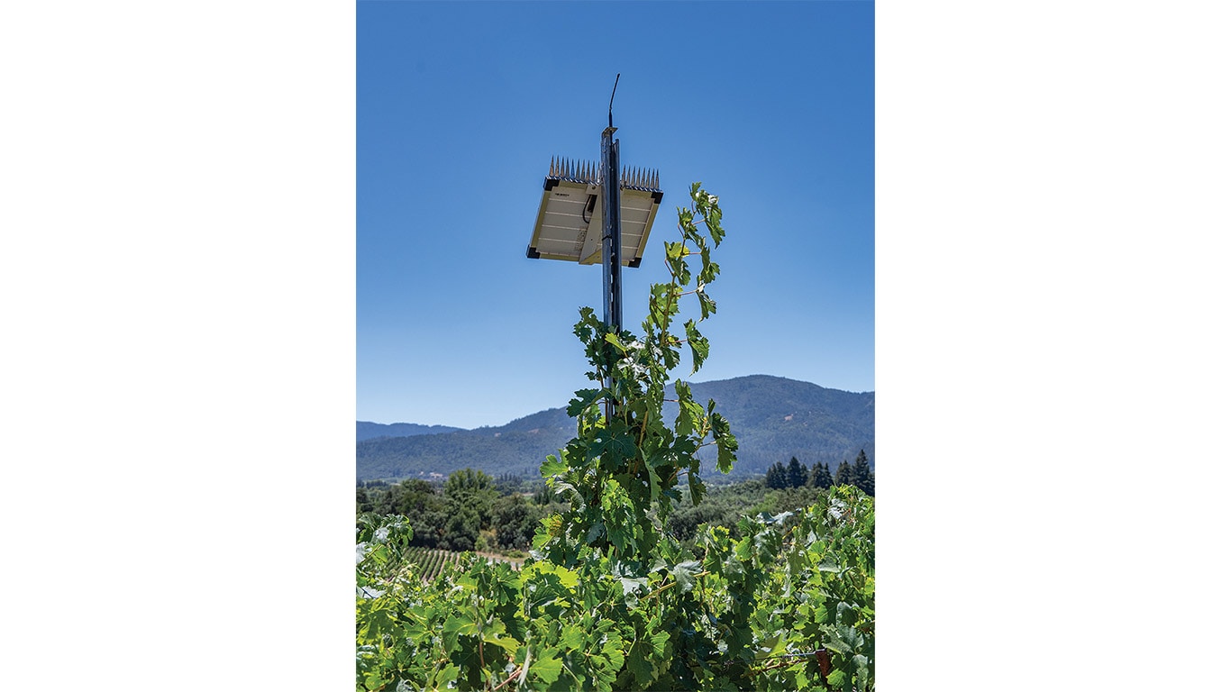 Vineyard monitoring equipment mounted on a pole above grapevines, with rolling hills and a clear blue sky in the background.