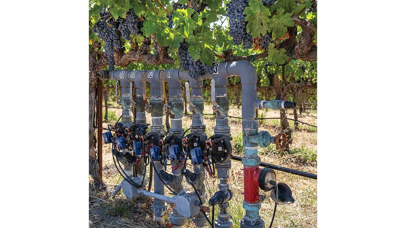 Automated irrigation valves and piping installed between rows of grapevines in a vineyard.