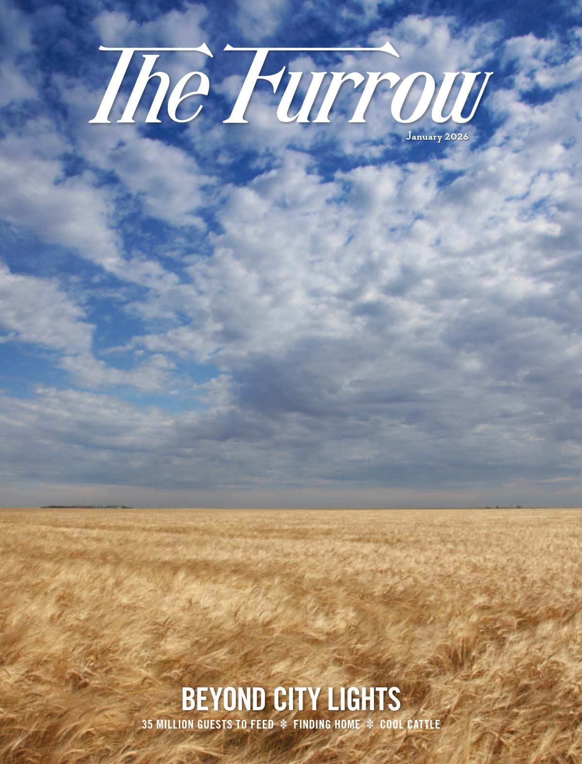 Golden wheat field stretching to the horizon under a partly cloudy sky, cover of The Furrow magazine.