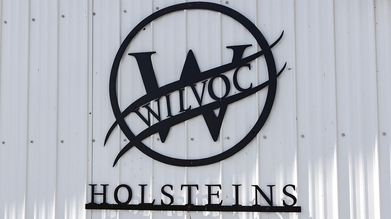 Black Wilvoc Holsteins logo mounted on a white corrugated metal wall.