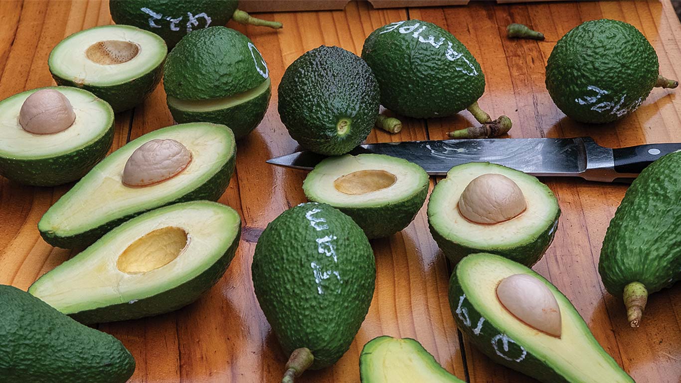 Close-up of sliced avocados on a wooden cutting board with a kitchen knife.