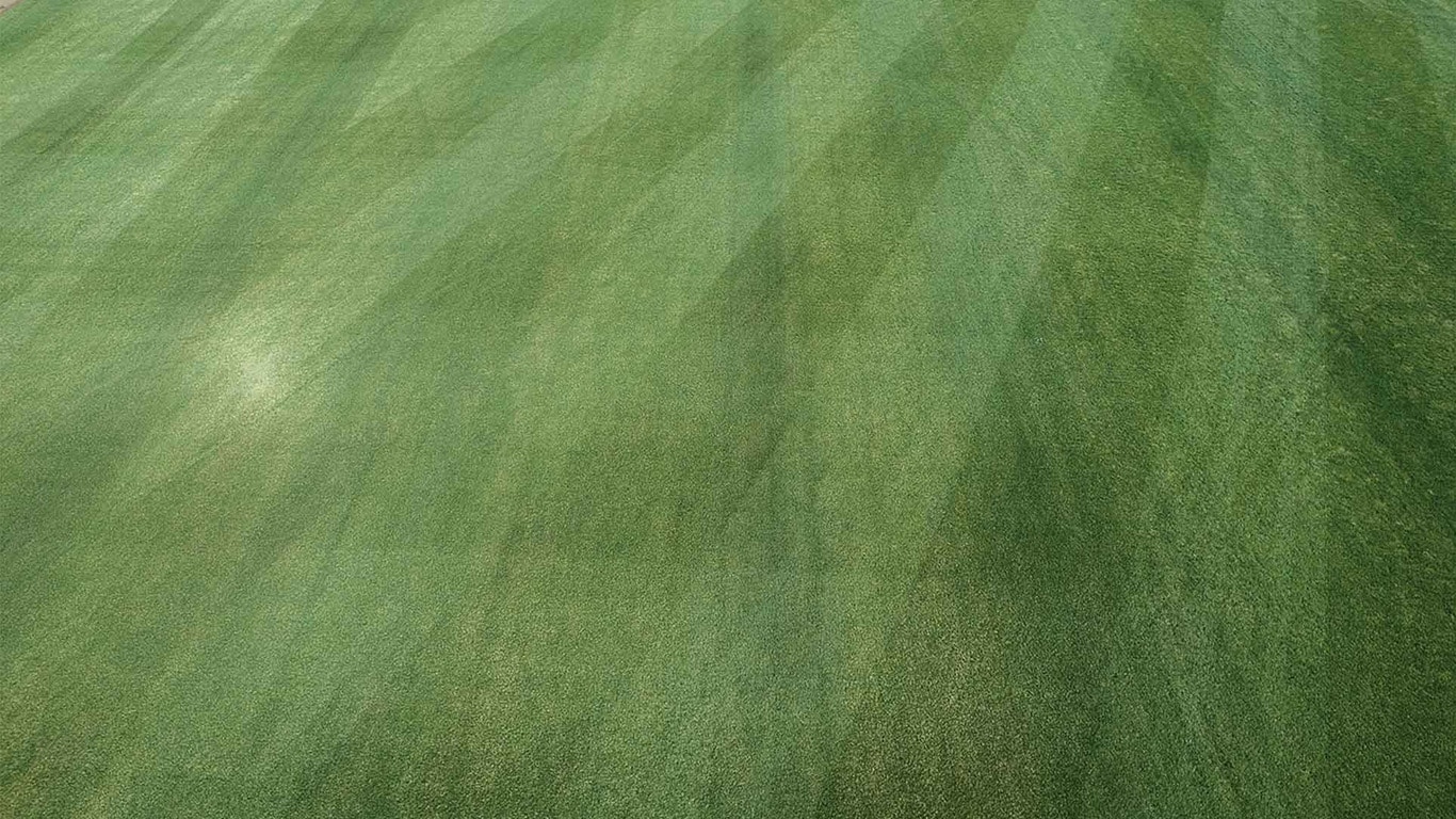 Wide shot of a mowed grass field with diagonal patterns.