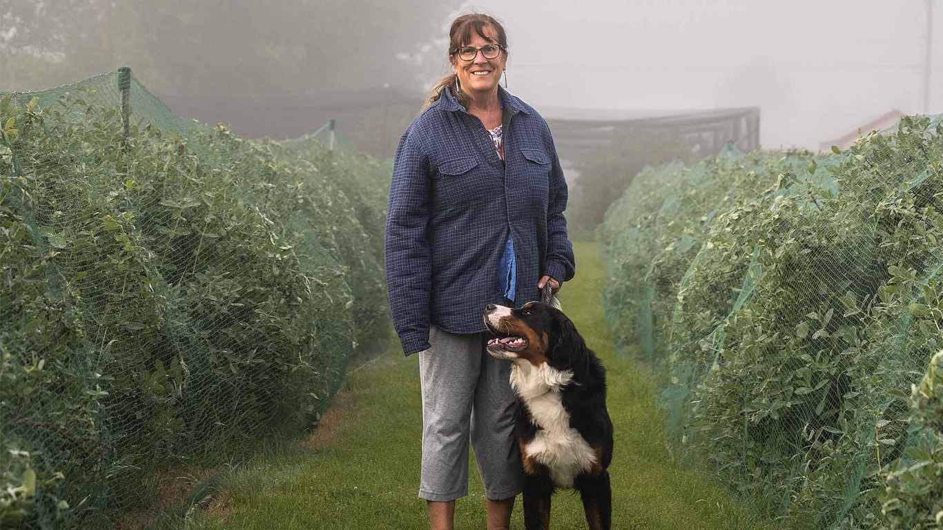 A person standing in a misty field between rows of plants, holding a dog beside them on a grassy path.