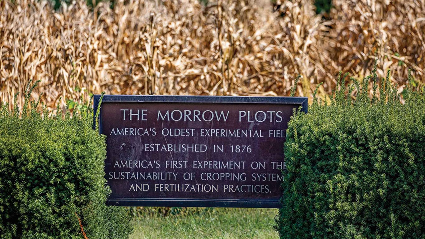 A metal sign reading "The Morrow Plots" stands between shrubs with dried corn plants in the background.