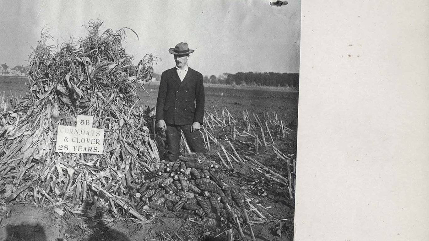A person stands beside a large pile of harvested corn and a tall bundle of stalks marked with a sign reading "5B Corn, Oats & Clover 25 Years."