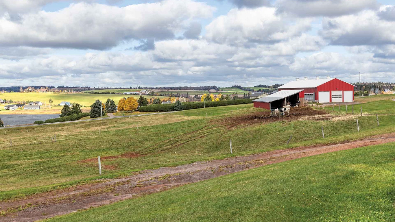 Wide arm landscape with a red barn, grazing cattle, and open fields beneath a cloudy sky.