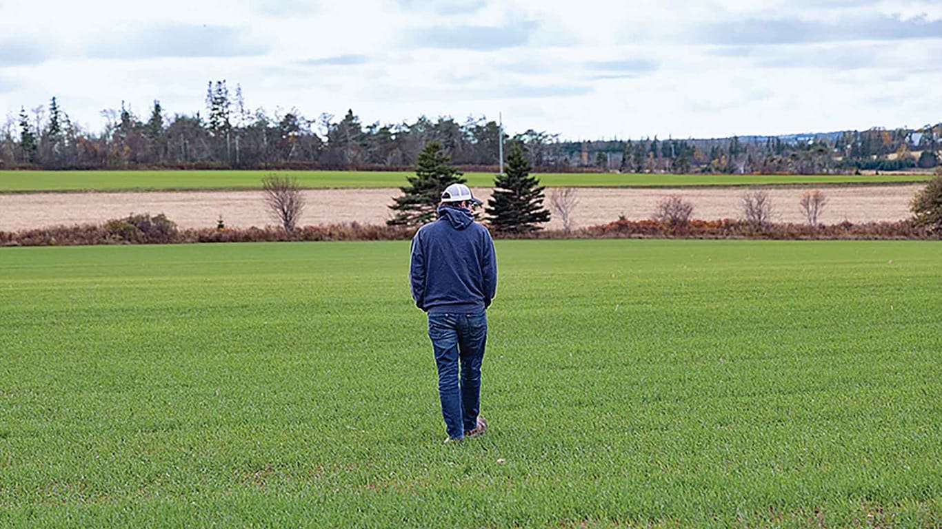 Person walking across a green field toward distant farmland.