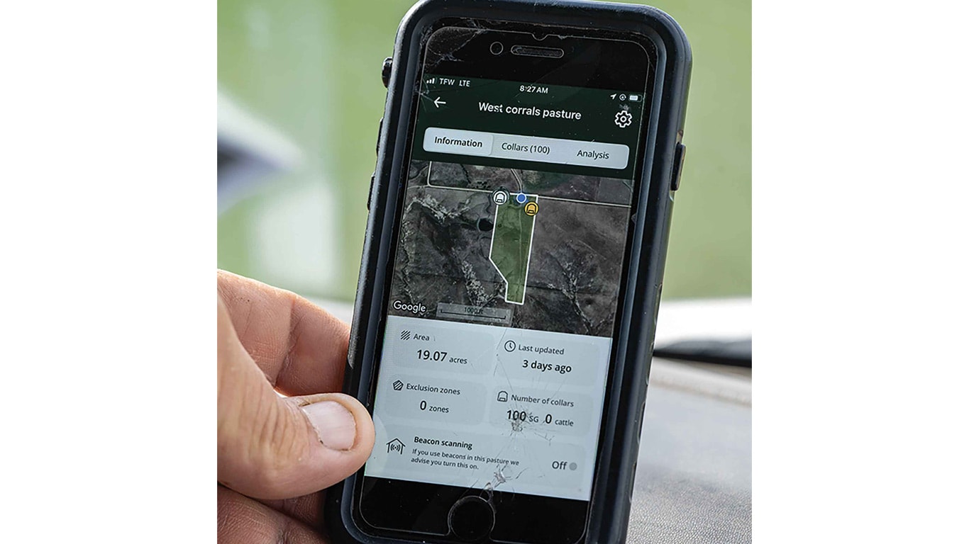 Group of sheep standing closely together in a pasture.