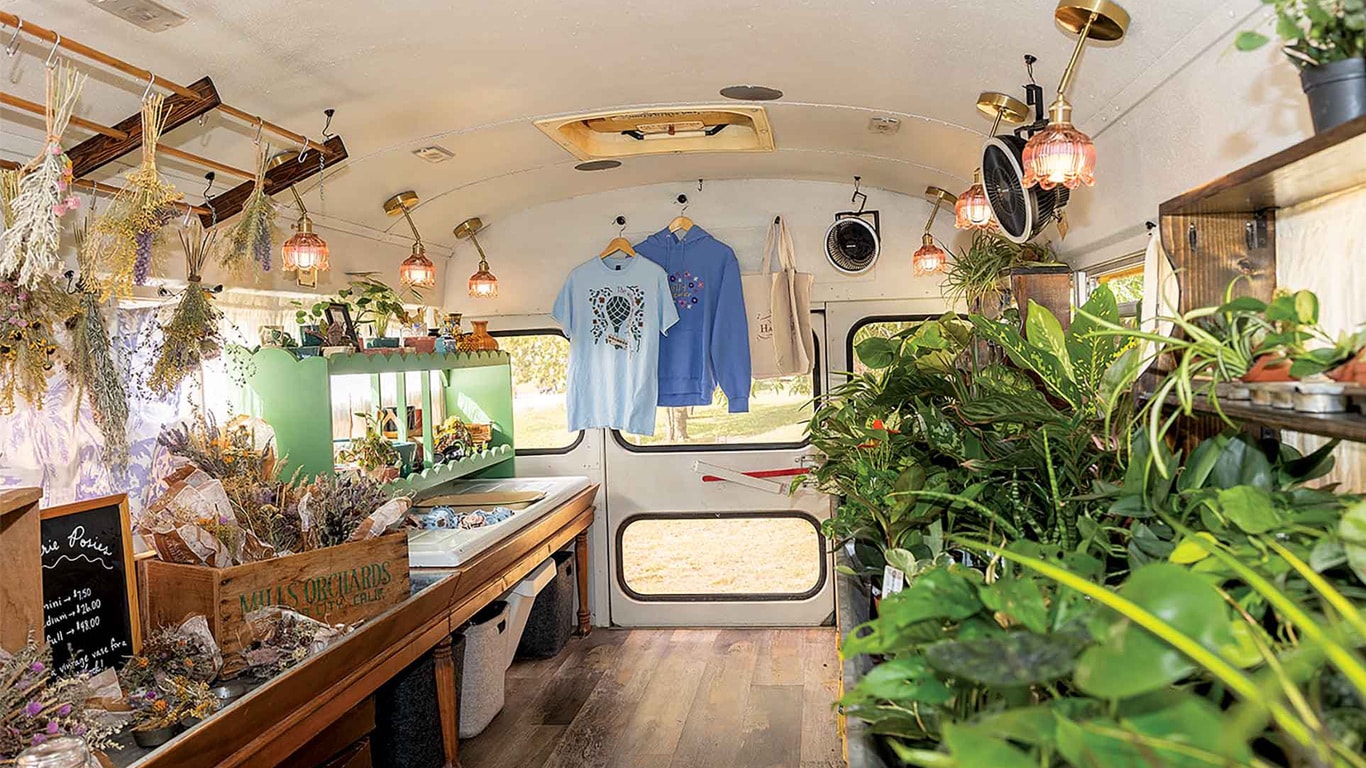 Interior of a plant-filled bus with dried flowers, plants, hanging shirts, wooden shelves, and warm lights.