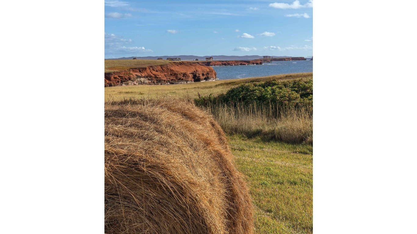 A hay bale in a coastal field with red cliffs and ocean in the background.