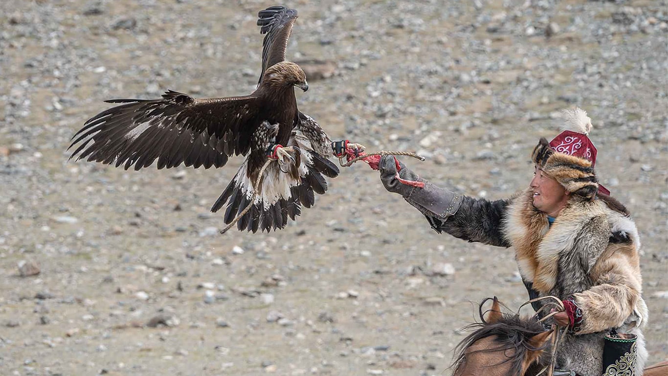 A rider in fur clothing extending an arm as a golden eagle lands.