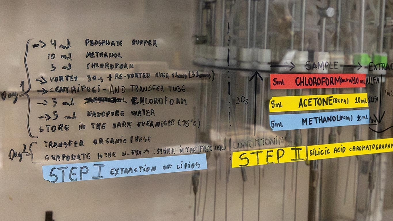 Fungi test samples in tubes with lab notes written behind them.