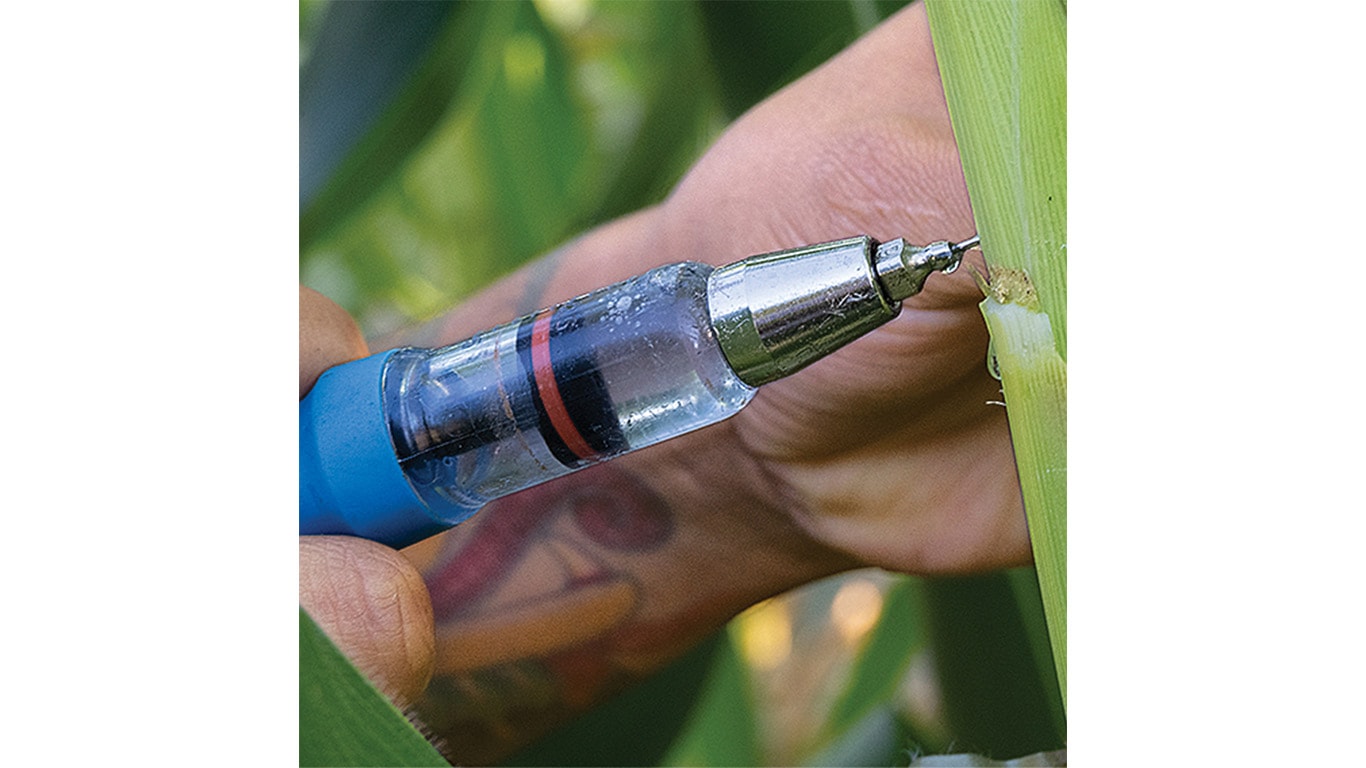 Syringe injecting liquid into a plant stem.
