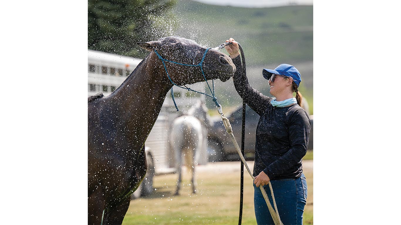 Person rinsing a horse with water spray while holding a lead rope outdoors.