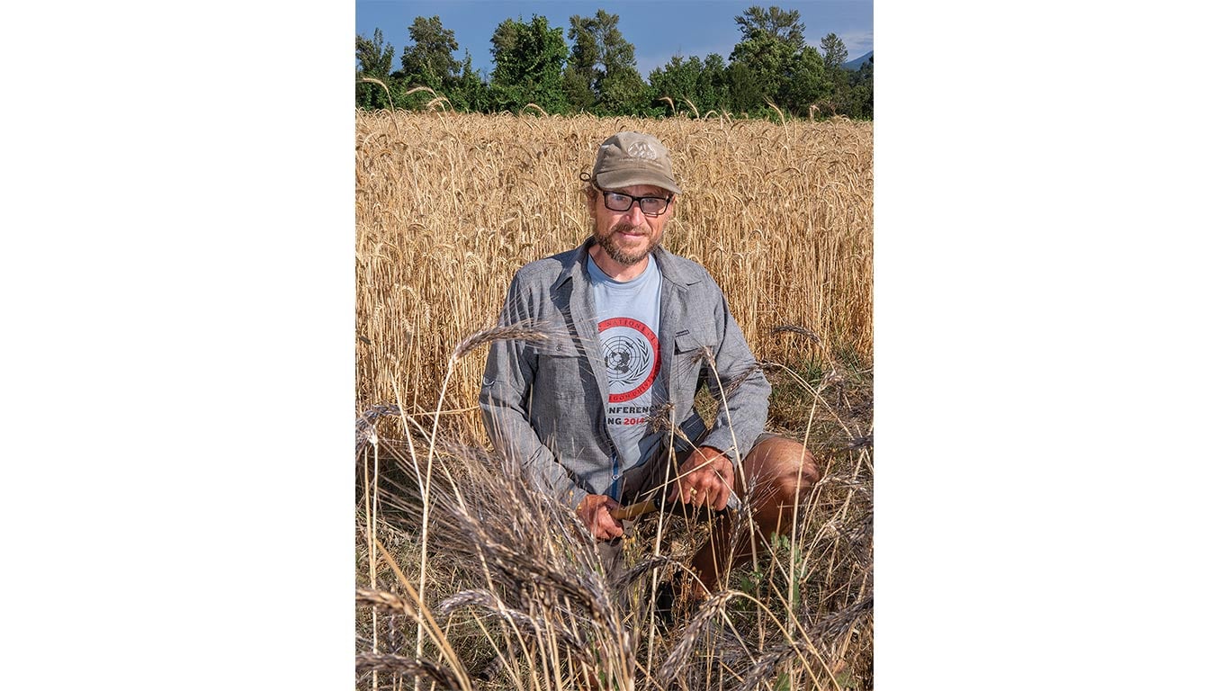 Person kneeling in a grain field holding stalks of wheat.
