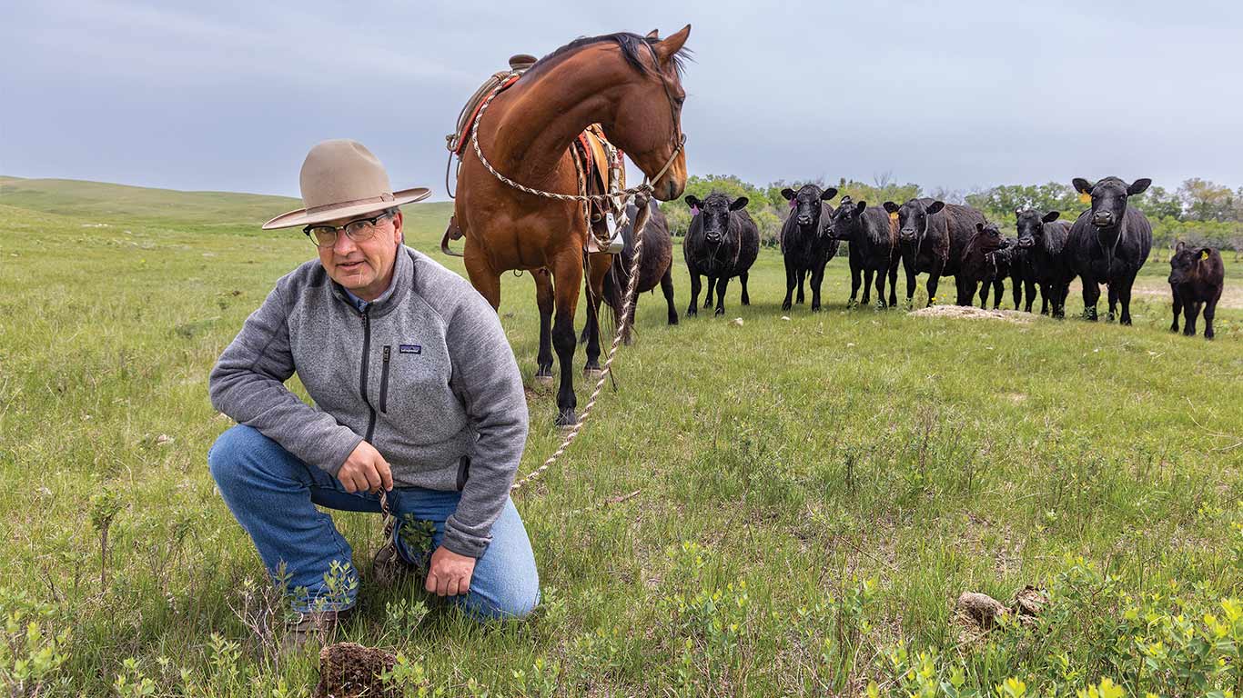 Rancher kneels in grassy field beside saddled horse with a herd of cattle behind.