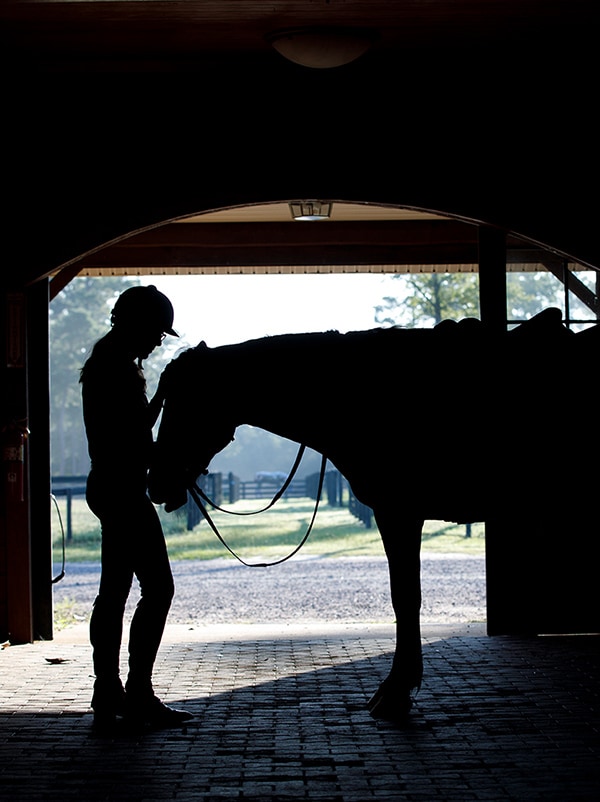 Silhouette of person with horse in barn
