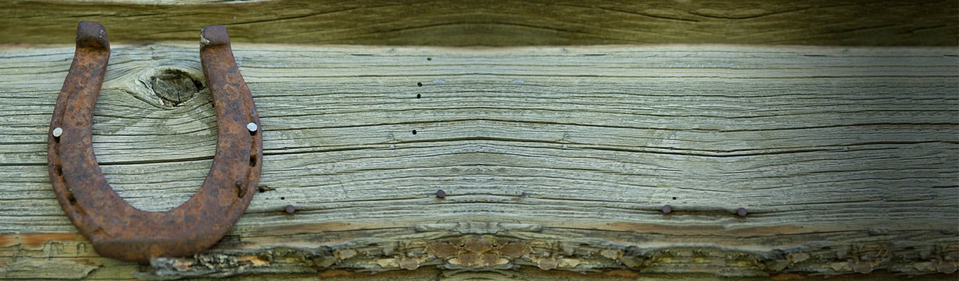 piece of wood with a horseshoe