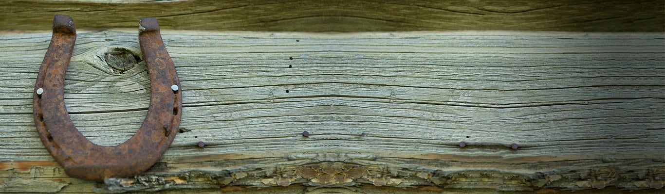 horseshoe nailed to barn board